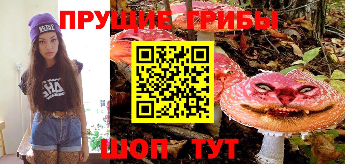 Лабинск  Галлюциногенные грибы GOLDEN TEACHER  Вход с VPN 